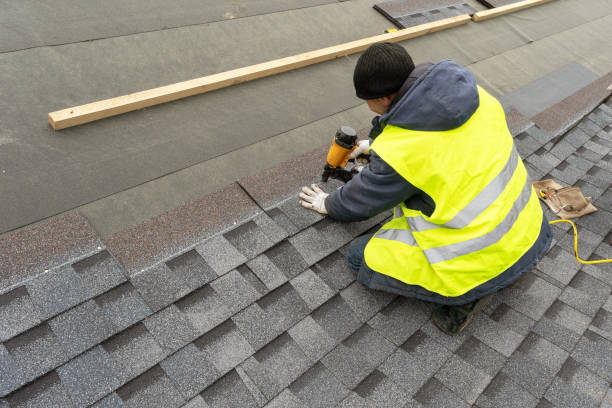 Best Roof Repair Services  in Bunker Hl, IL