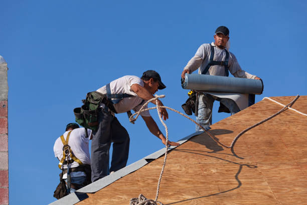 Best Roof Maintenance Services  in Bunker Hl, IL