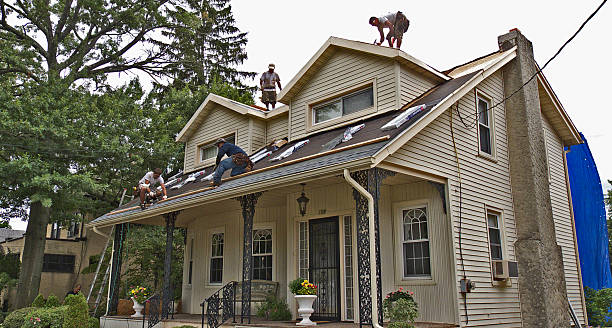Best Roof Repair Services  in Bunker Hl, IL