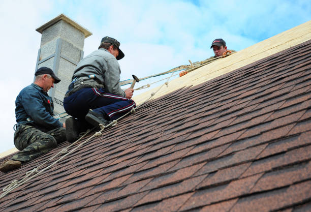Best New Roof Installation  in Bunker Hl, IL