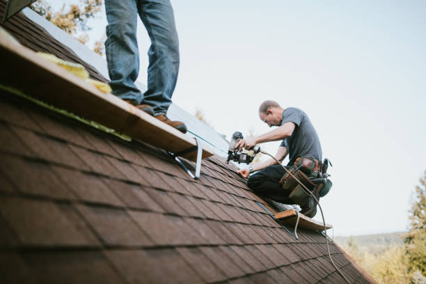 Best Storm Damage Roof Repair  in Bunker Hl, IL