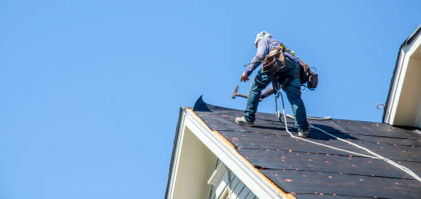Best Roof Restoration Services  in Bunker Hl, IL